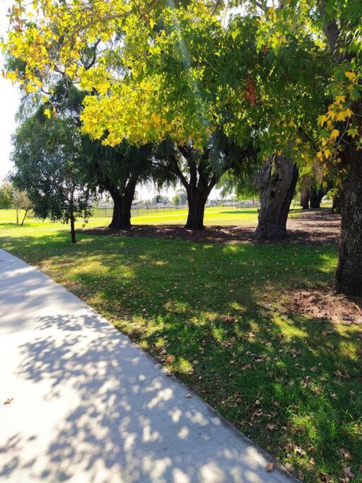 Simply Delightful Unit Close To Cbd And Beach Perth Exteriör bild